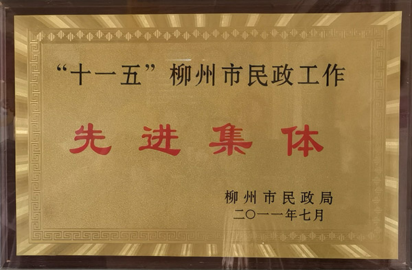 “十一五”柳州市民政工作先进集体