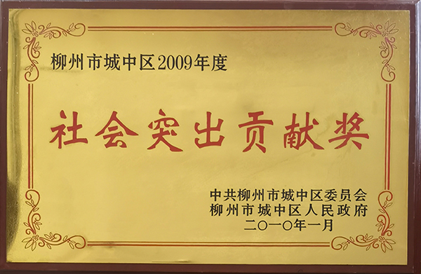 柳州市城中区2009年度社会突出贡献奖
