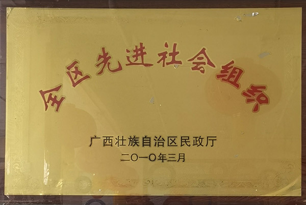 全区先进社会组织