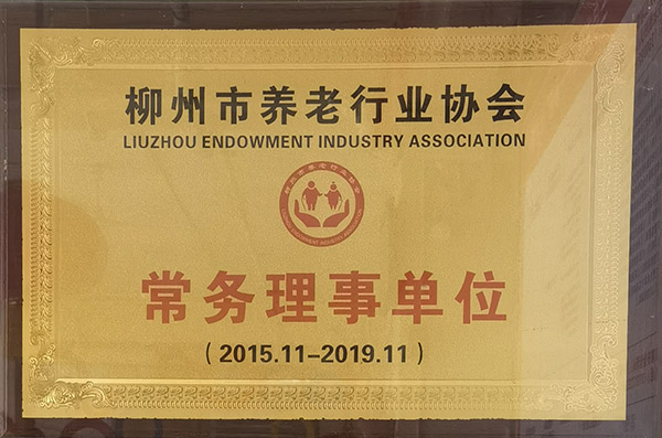柳州市养老行业协会常务理事单位